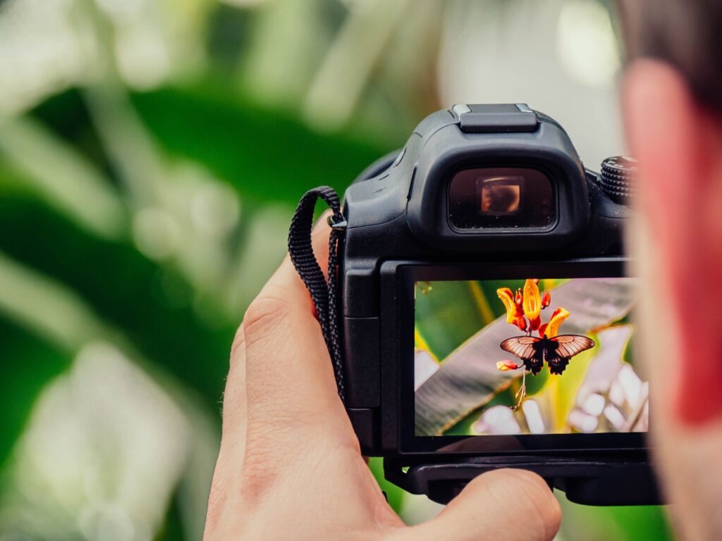 Award-Winning Photography Services