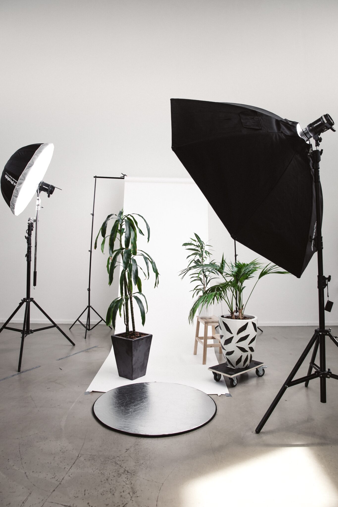 Professional Headshots with Portable Studio Equipment