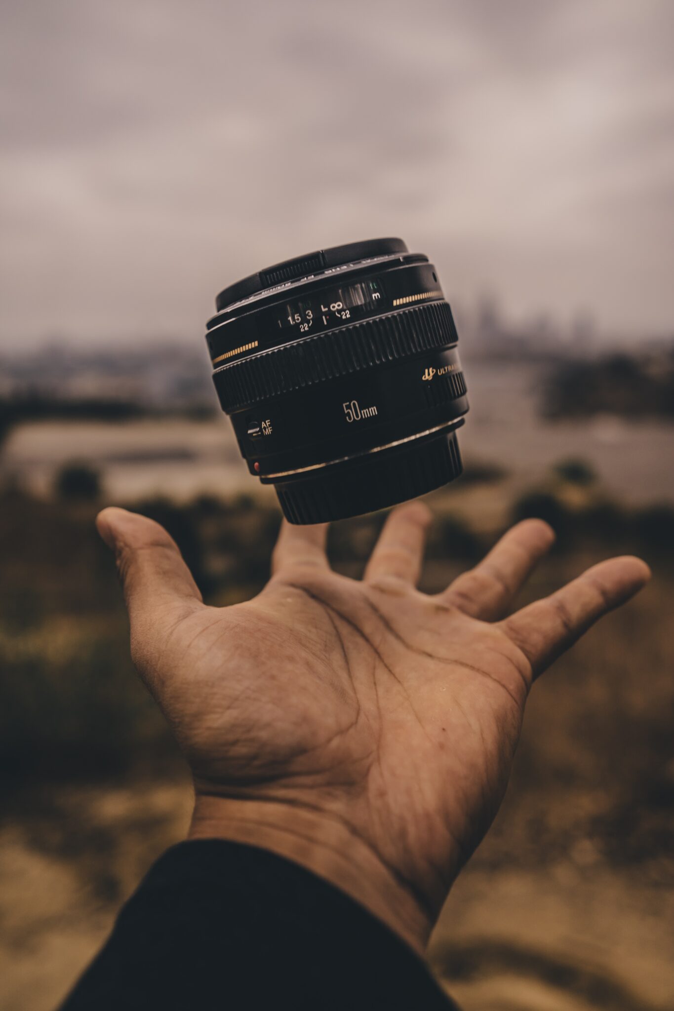 Professional Corporate Photography Services in Wellington