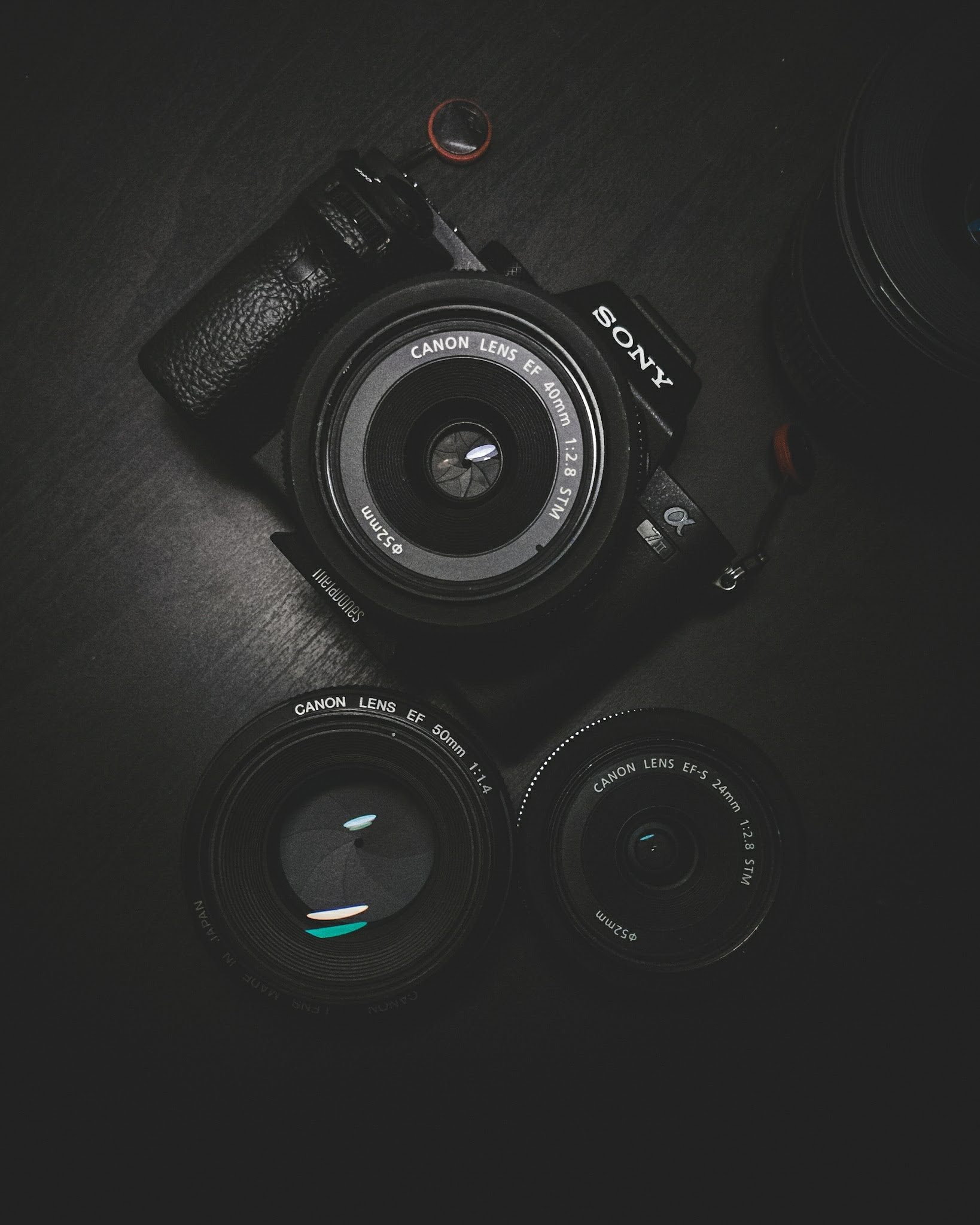 Capture the Beauty: Engagement Photos by Wellington Photographer Andy